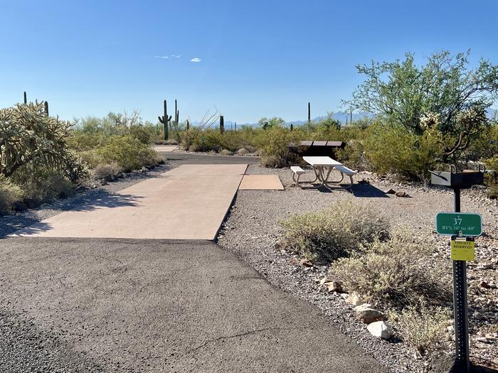Pull-thru campsite with picnic table and grill, cactus and desert vegetation surround site.  The entrance into Site 037