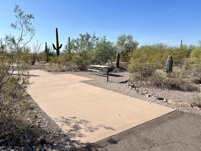 Pull-thru campsite with picnic table and grill, cactus and desert vegetation surround site.  The entrance into Site 042