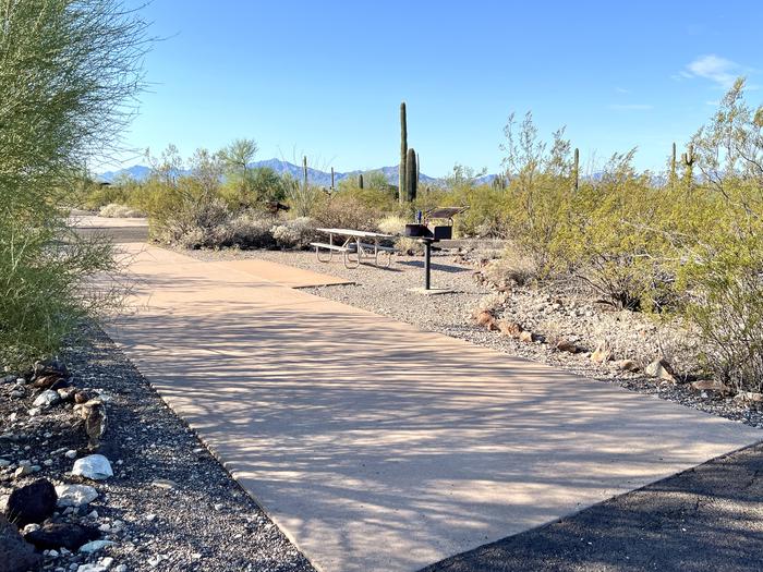 Pull-thru campsite with picnic table and grill, cactus and desert vegetation surround site.  The entrance into Site 047