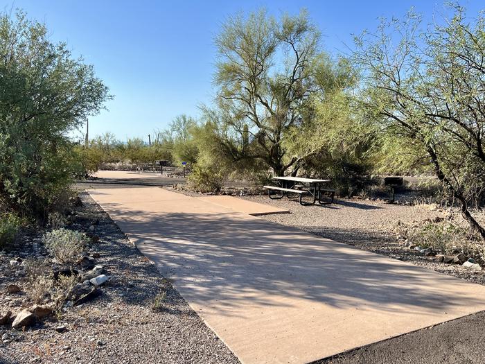 Pull-thru campsite with picnic table and grill, cactus and desert vegetation surround site.  The entrance into Site 053