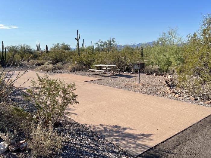 Pull-thru campsite with picnic table and grill, cactus and desert vegetation surround site.  The entrance into Site 055