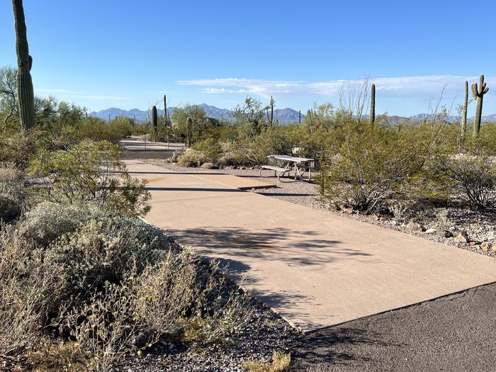 Pull-thru campsite with picnic table and grill, cactus and desert vegetation surround site.  The entrance into Site 059