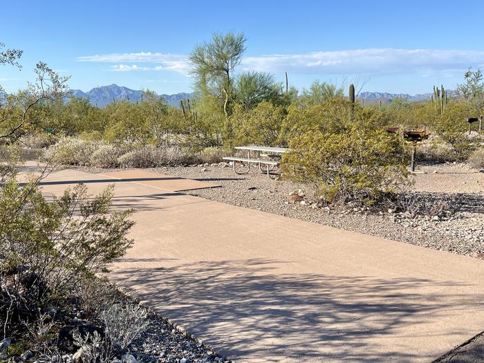 Pull-thru campsite with picnic table and grill, cactus and desert vegetation surround site.  The entrance into Site 060