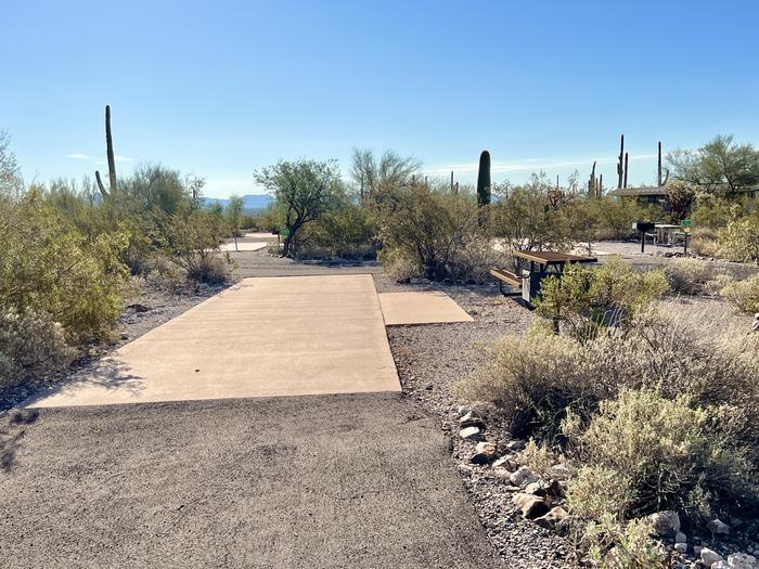Pull-thru campsite with picnic table and grill, cactus and desert vegetation surround site.  The entrance into Site 068
