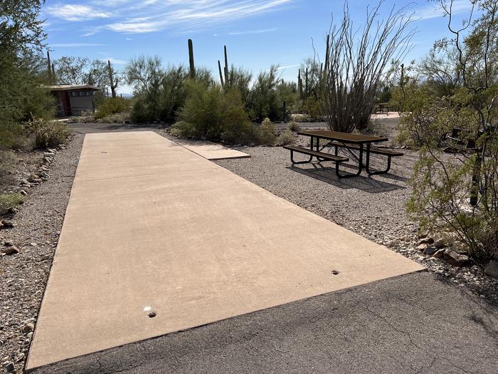 Pull-thru campsite with picnic table and grill, cactus and desert vegetation surround site.  The entrance into Site 082