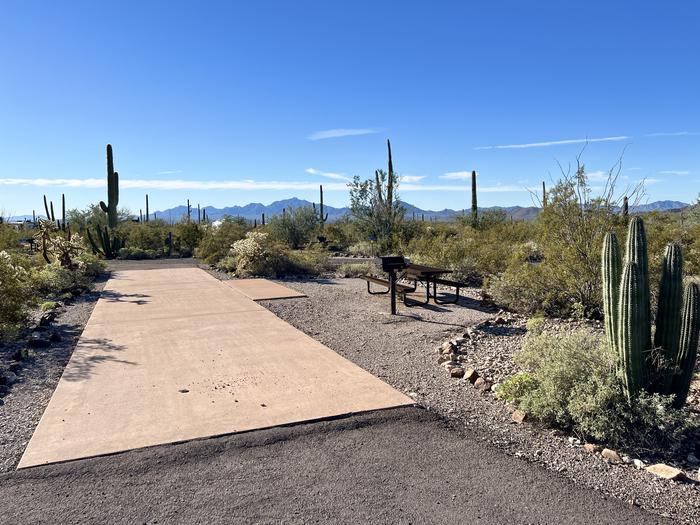Pull-thru campsite with picnic table and grill, surrounded by cactus and desert vegetation.The entrance into Site 097