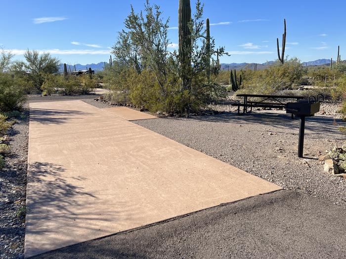 Pull-thru campsite with picnic table and grill, surrounded by cactus and desert vegetation.The entrance into Site 098