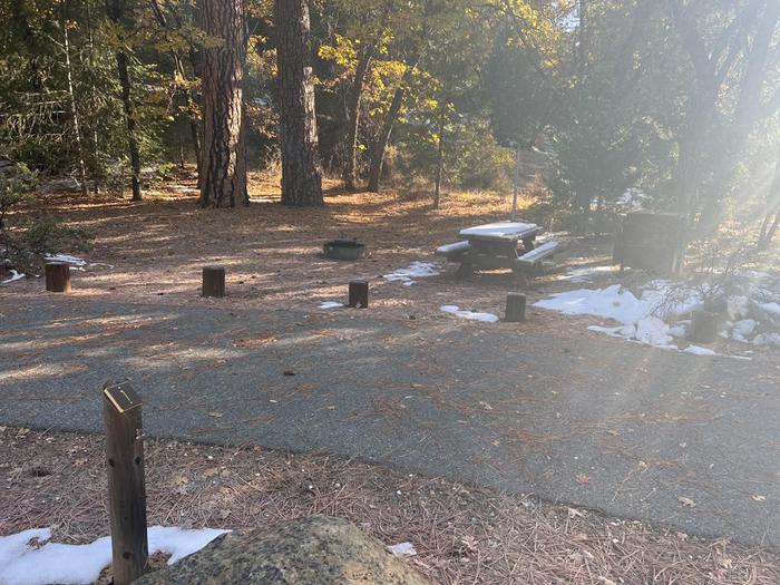 Shady site featuring a picnic table, fire ring, bear box, and a paved driveway.Spanish Creek Site 1
