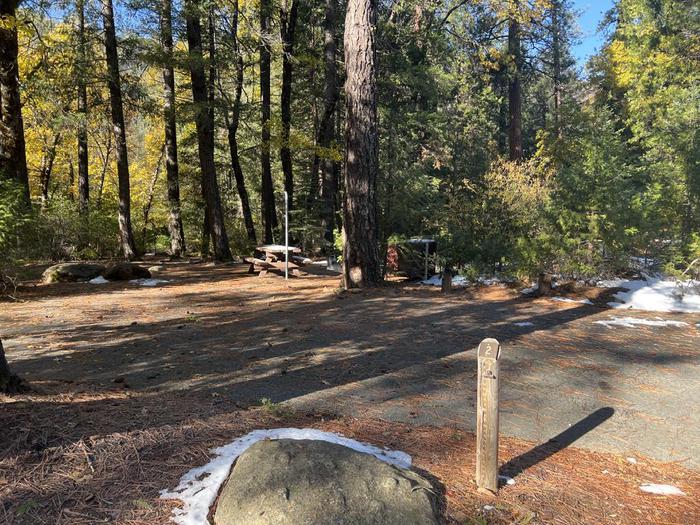 Shady site featuring a picnic table, fire ring, bear box, and a paved driveway.Spanish Creek Site 2