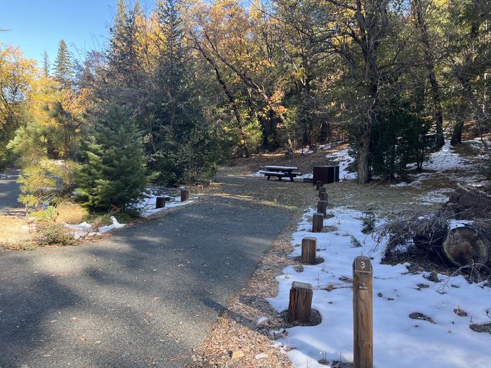 Spacious site featuring a picnic table, fire ring, bear box, and a paved driveway.Spanish Creek Site 3