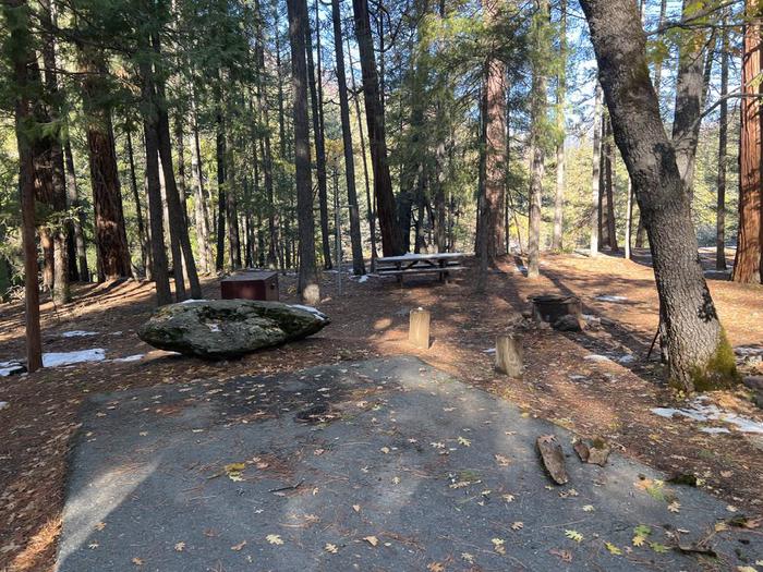 Shady site featuring a picnic table, fire ring, bear box, and a paved driveway.Spanish Creek Site 8