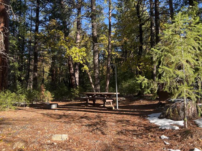 Spacious site featuring a picnic table, fire ring, bear box, and a paved driveway.Spanish Creek Site 9