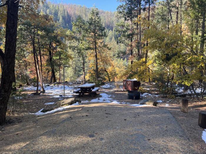 Spacious site featuring a picnic table, fire ring, bear box, and a paved driveway.Spanish Creek Site 10