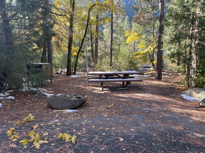 Shady site featuring a picnic table, fire ring, bear box, and a paved driveway.Spanish Creek Site 11