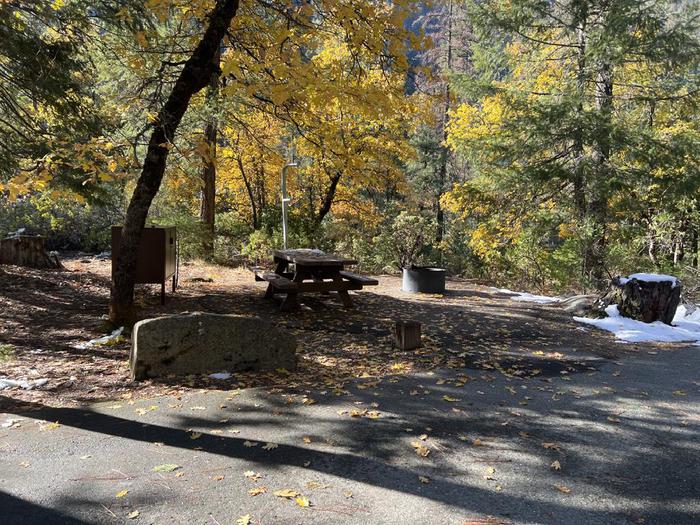 Spacious site featuring a picnic table, fire ring, bear box, and a paved driveway.Spanish Creek Site 12