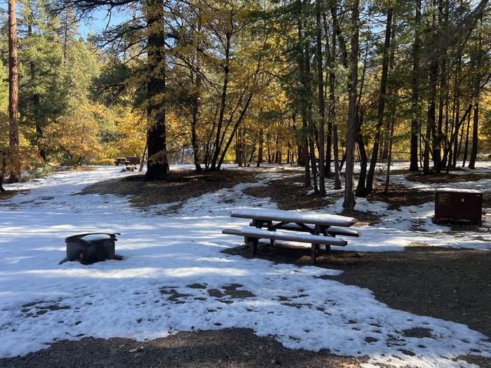 Spacious site featuring a picnic table, fire ring, bear box, and a paved driveway.Spanish Creek Site 18