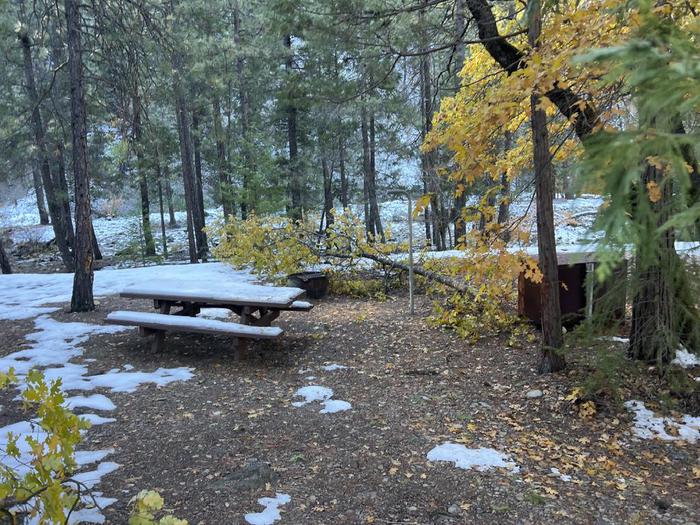 Shady site featuring a picnic table, fire ring, bear box, and a paved driveway.Spanish Creek Site 19