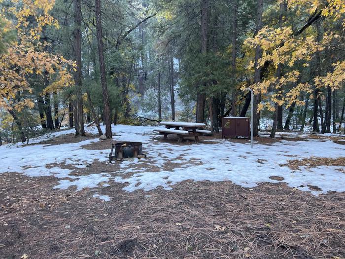 Shady site featuring a picnic table, fire ring, bear box, and a paved driveway.Spanish Creek Site 20