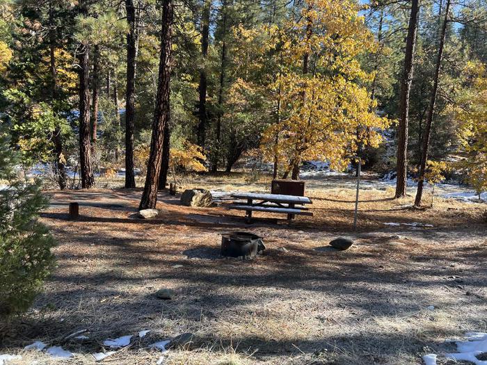 Spacious site featuring a picnic table, fire ring, bear box, and a paved driveway.Spanish Creek Site 21