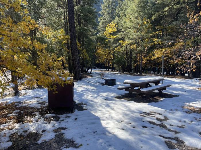 Spacious site featuring a picnic table, fire ring, bear box, and a paved driveway.Spanish Creek Site 22