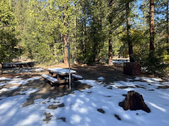 Shady site featuring a picnic table, fire ring, bear box, and a paved driveway.Spanish Creek Site 23