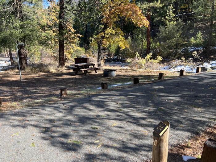 Shady site featuring a picnic table, fire ring, bear box, and a paved driveway.Spanish Creek Site 24