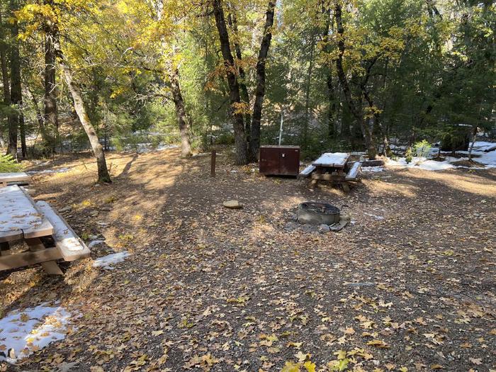 Shady site featuring a picnic table, fire ring, bear box, and a paved driveway.Spanish Creek Group Site B