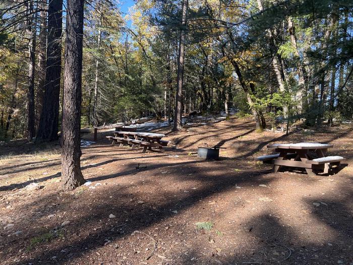 Spacious site featuring a picnic table, fire ring, bear box, and a paved driveway.Spanish Creek Group Site C