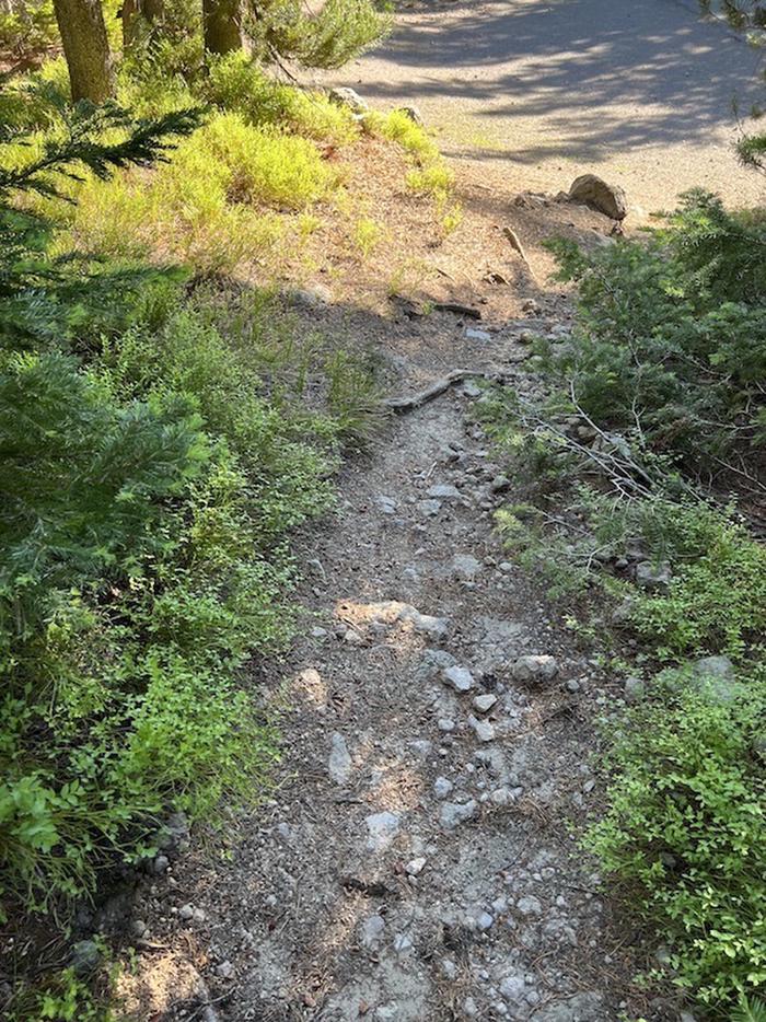 Trail coming down from campsiteLewis Lake site 4