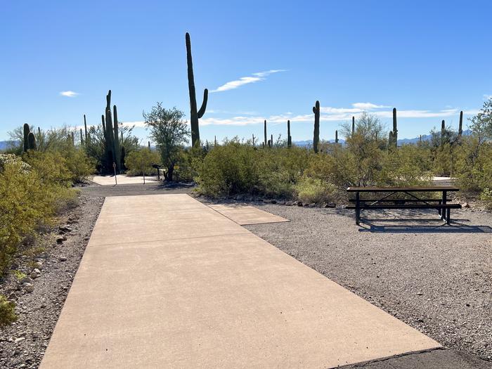 Pull-thru campsite with picnic table and grill, surrounded by cactus and desert vegetation.The entrance into Site 109