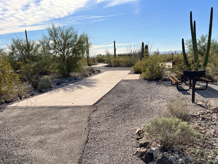 Pull-thru campsite with picnic table and grill, surrounded by cactus and desert vegetation.The entrance into Site 115
