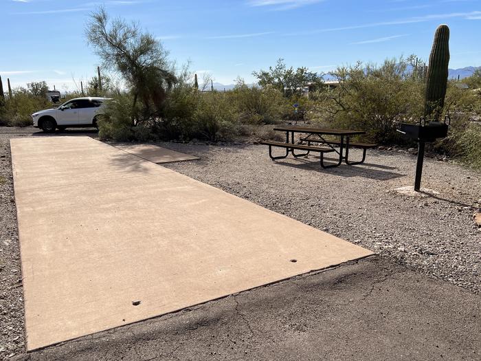Pull-thru campsite with picnic table and grill, surrounded by cactus and desert vegetation.The entrance into Site 122