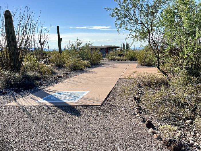 Pull-thru campsite with picnic table and grill, surrounded by cactus and desert vegetation. Handicap logo painted on the groundThe entrance into Site 131