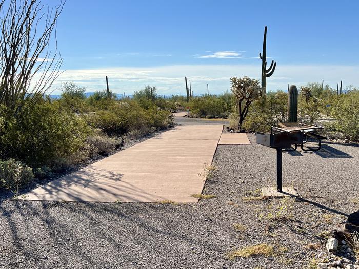 Pull-thru campsite with picnic table and grill, surrounded by cactus and desert vegetation.The entrance into Site 133