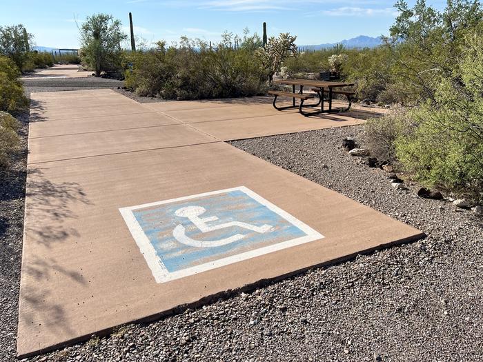 Pull-thru campsite with picnic table and grill, surrounded by cactus and desert vegetation. Handicap logo painted on the groundThe entrance into Site 139