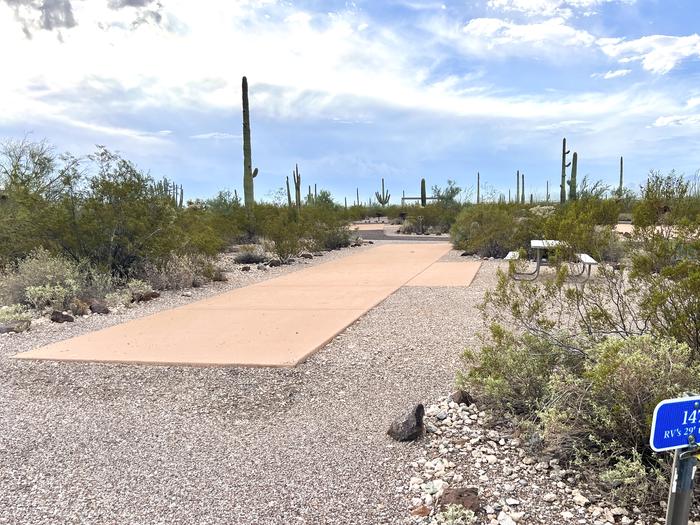 Pull-thru campsite with picnic table and grill, surrounded by cactus and desert vegetation.The entrance into Site 147