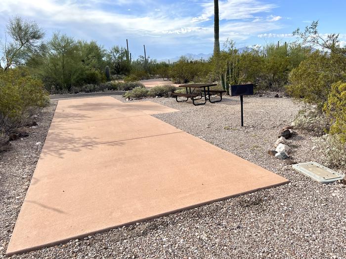 Pull-thru campsite with picnic table and grill, surrounded by cactus and desert vegetation.The entrance into Site 151