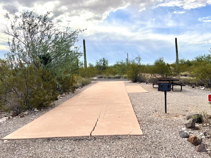 Pull-thru campsite with picnic table and grill, surrounded by cactus and desert vegetation.The entrance into Site 150