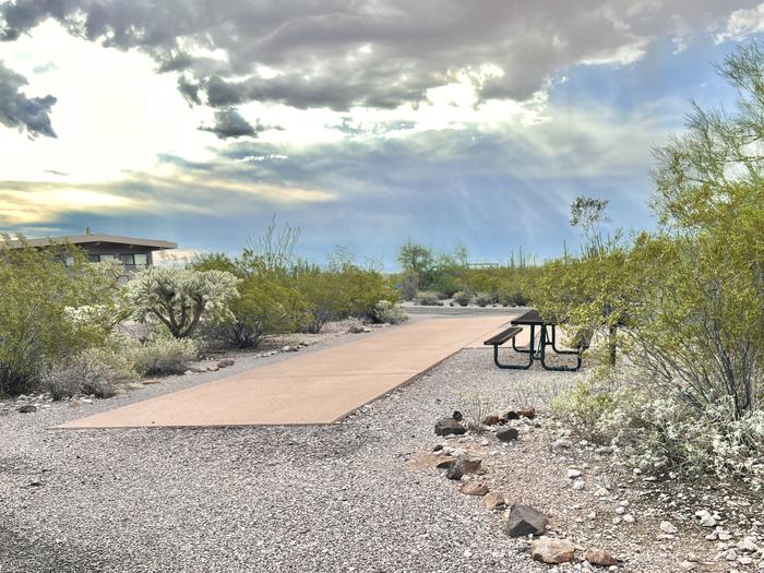 Pull-thru campsite with picnic table and grill, surrounded by cactus and desert vegetation.The entrance into Site 152