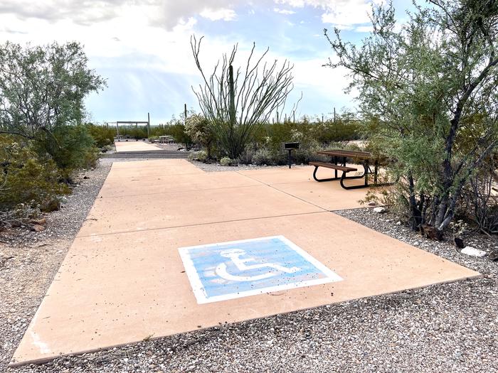 Pull-thru campsite with picnic table and grill, surrounded by cactus and desert vegetation. Handicapped logo painted on the groundThe entrance into Site 153