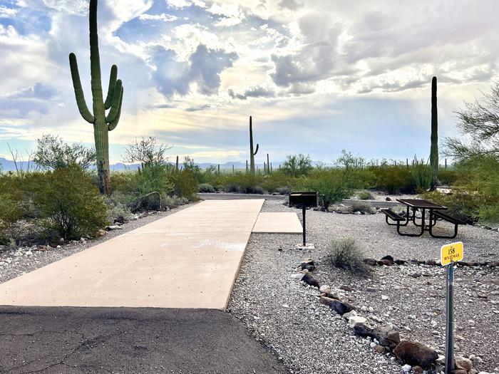 Pull-thru campsite with picnic table and grill, surrounded by cactus and desert vegetation.The entrance into Site 158