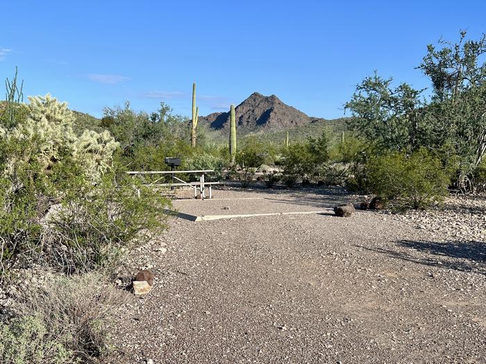 Pull-in parking tent camping site with picnic table and grill. Surrounded by cactus and desert vegetation.The entrance into Site 175