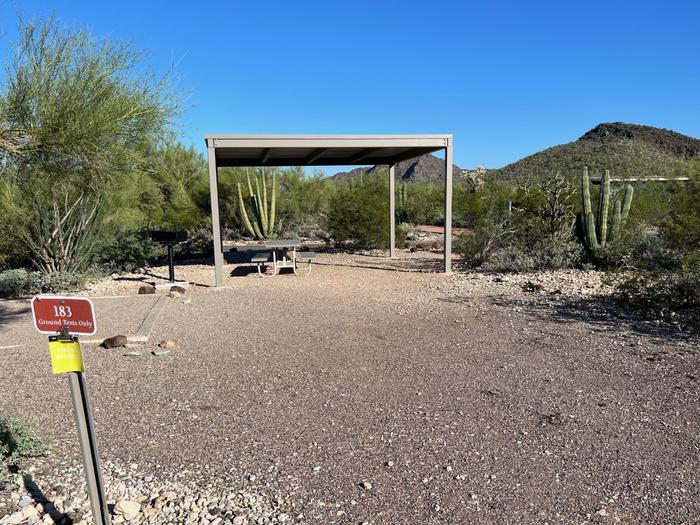 Pull-in parking tent camping site with sunshade, picnic table and grill. Surrounded by cactus and desert vegetation.The entrance into Site 183