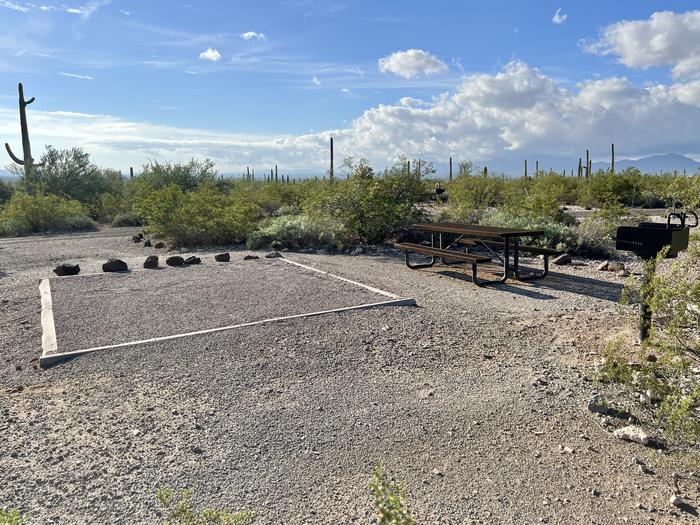 Pull-in parking tent camping site with picnic table and grill. Surrounded by cactus and desert vegetation.The entrance into Site 188