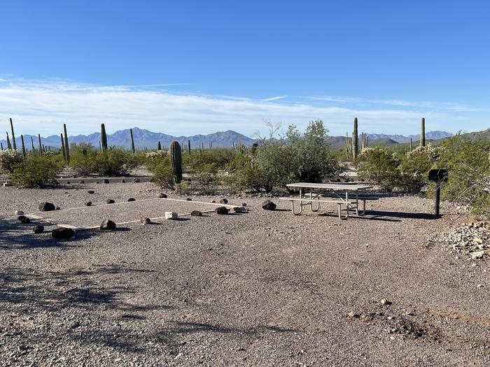 Pull-in parking tent camping site with picnic table and grill. Surrounded by cactus and desert vegetation.The entrance into Site 192
