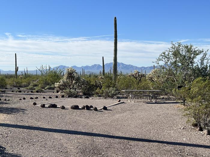 Pull-in parking tent camping site with picnic table and grill. Surrounded by cactus and desert vegetation.The entrance into Site 194