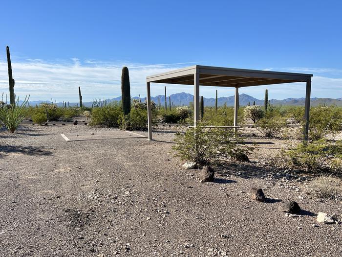 Pull-in parking tent camping site with sunshade, picnic table and grill. Surrounded by cactus and desert vegetation.The entrance into Site 193