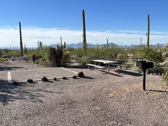 Pull-in parking tent camping site with picnic table and grill. Surrounded by cactus and desert vegetation.The entrance into Site 195
