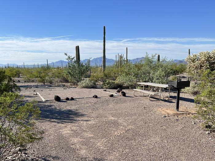Pull-in parking tent camping site with picnic table and grill. Surrounded by cactus and desert vegetation.The entrance into Site 196