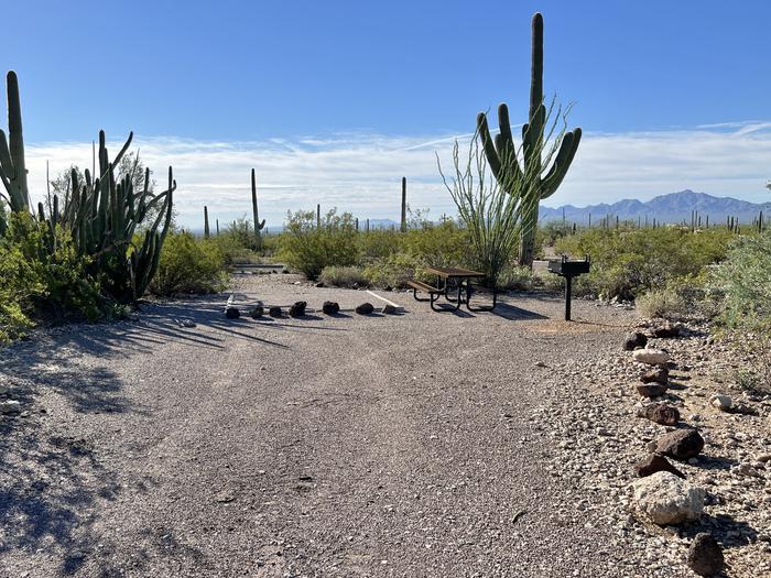 Pull-in parking tent camping site with picnic table and grill. Surrounded by cactus and desert vegetation.The entrance into Site 197
